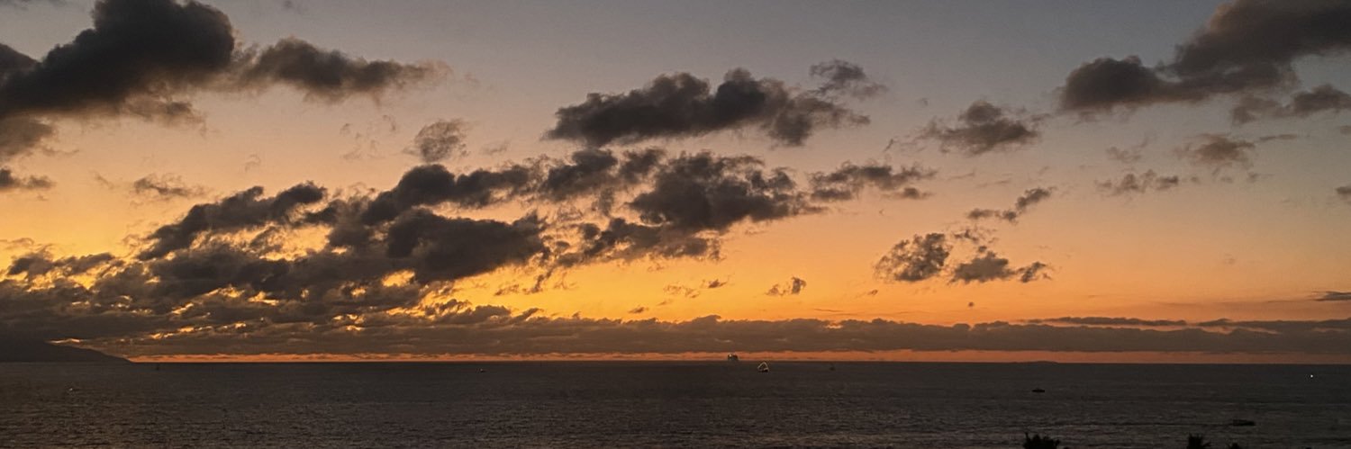 monnlaraa's profile banner image