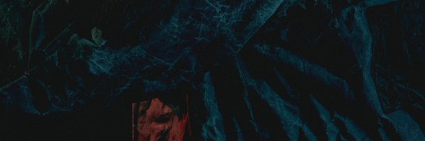 novikoff Profile Banner