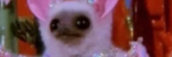 Ale_Mairim's profile banner image
