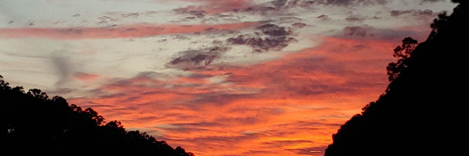 TXHomeStager's profile banner image