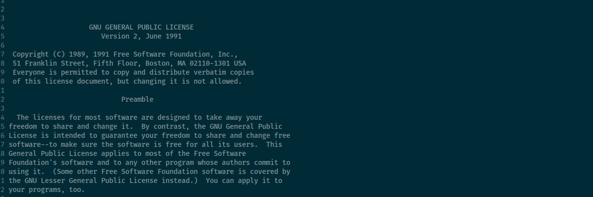 Honza Pokorný banner