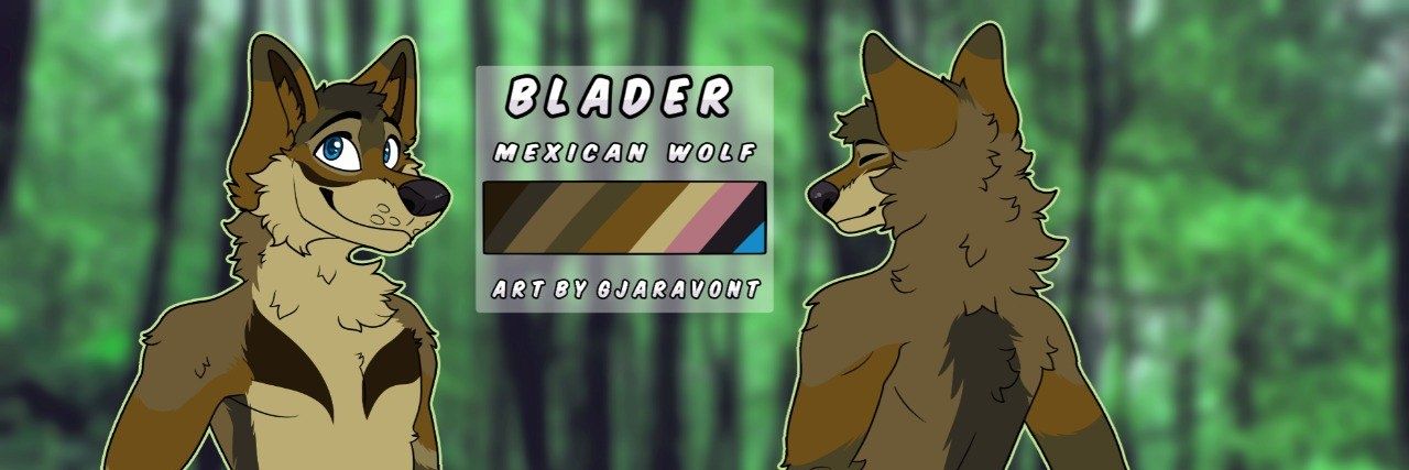 BladerMXwolf's profile banner image