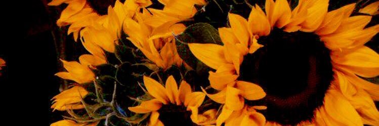 ciceklen_'s profile banner image