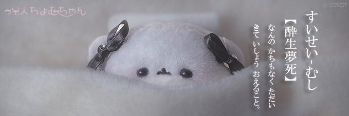 コ banner