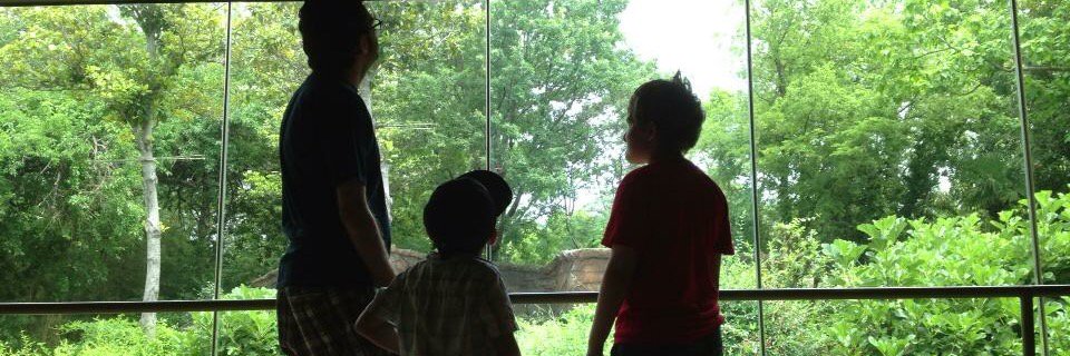 Harvey Moreno banner