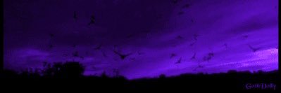 iww2ii's profile banner image