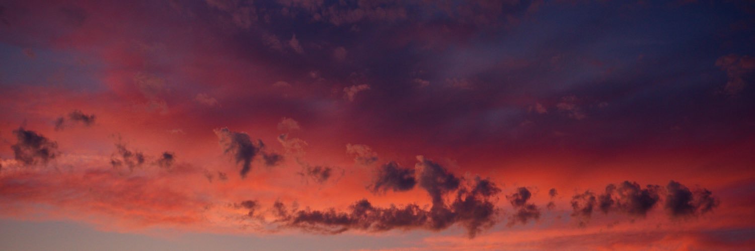 S t e v e W e l l s's banner