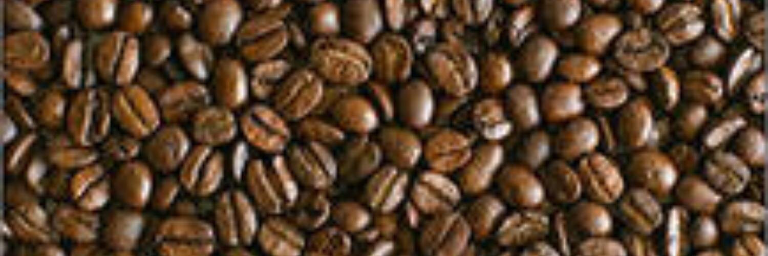 kva762001's profile banner image