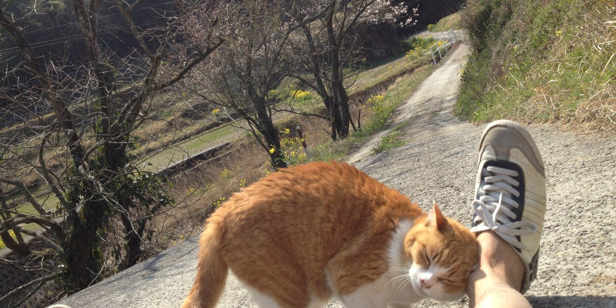 satoshi76's profile banner image