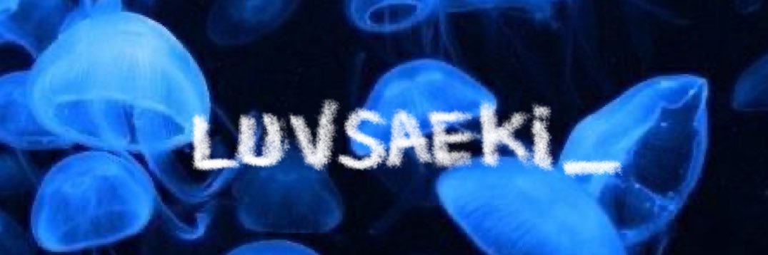 luvsaeki banner