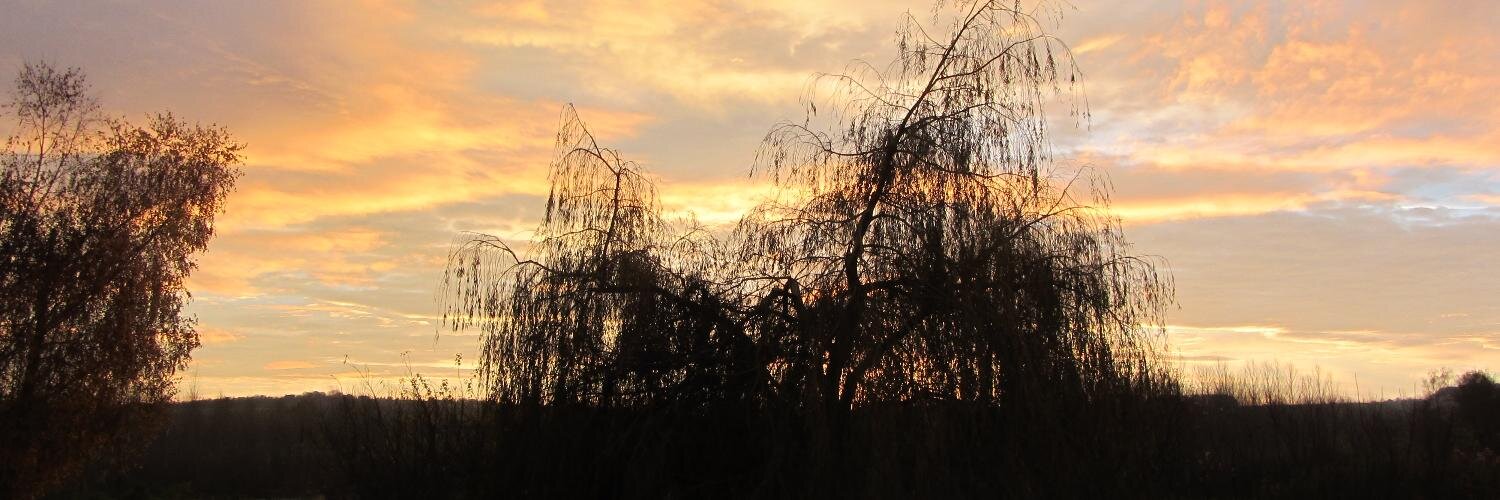 jtraulle's profile banner image