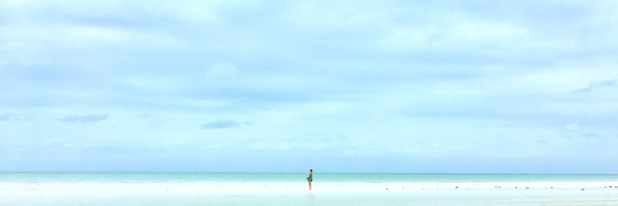 sofiamagallanes's profile banner image