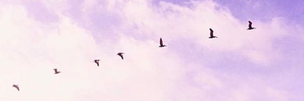 tini2824's profile banner image