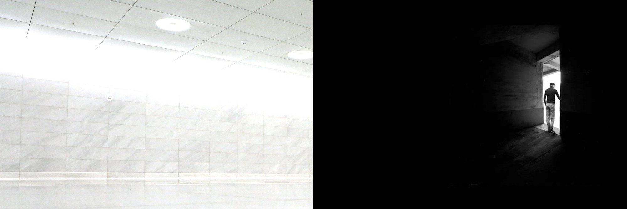 Dr Tess Bartlett banner