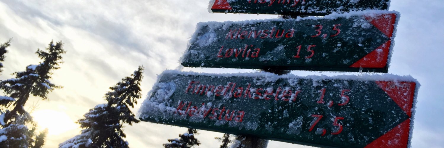 ingvildstraume's profile banner image