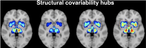 Lars Forsberg banner