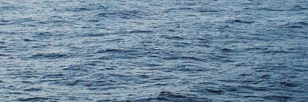 rollsanalog7 Profile Banner