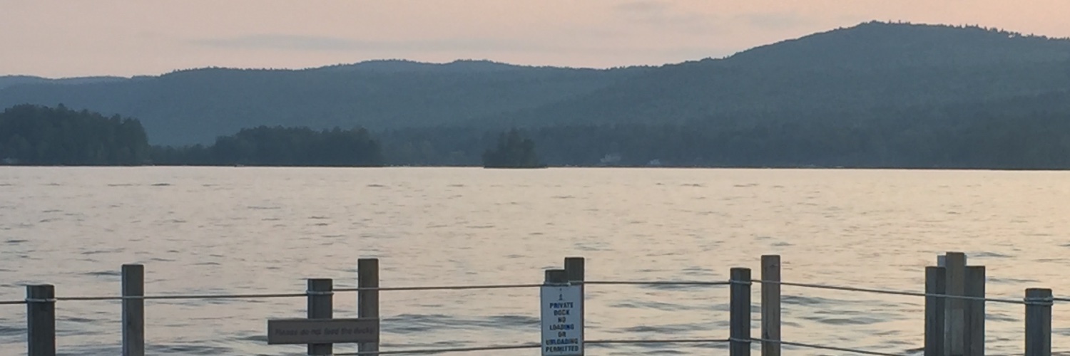JeneneRomanucci's profile banner image