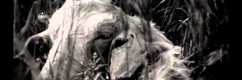 JohnBull696's profile banner image