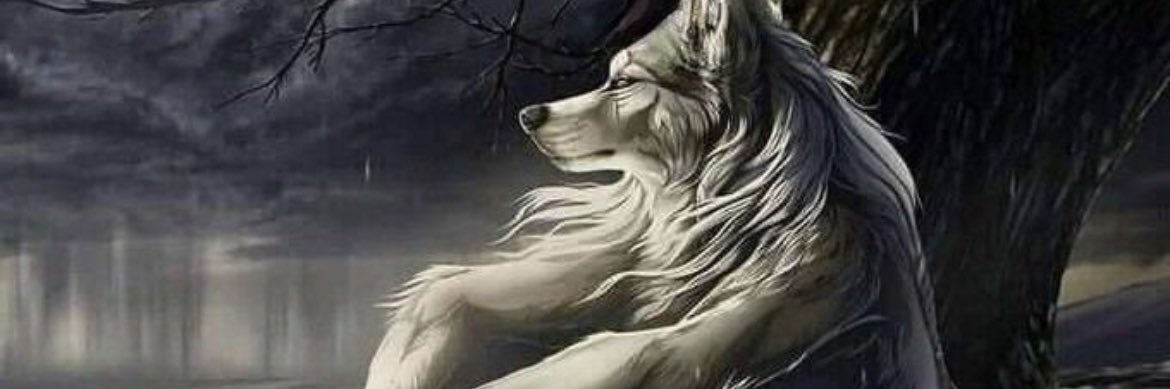 Tom Filipowski banner