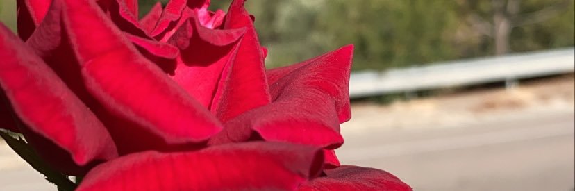 mstatiot's profile banner image