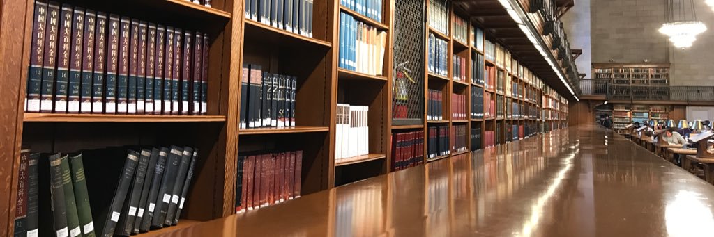 Romeo Aarón Cameras♻ banner