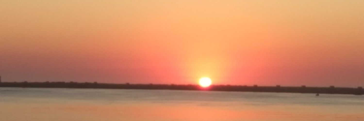 Wfranciscoss's profile banner image