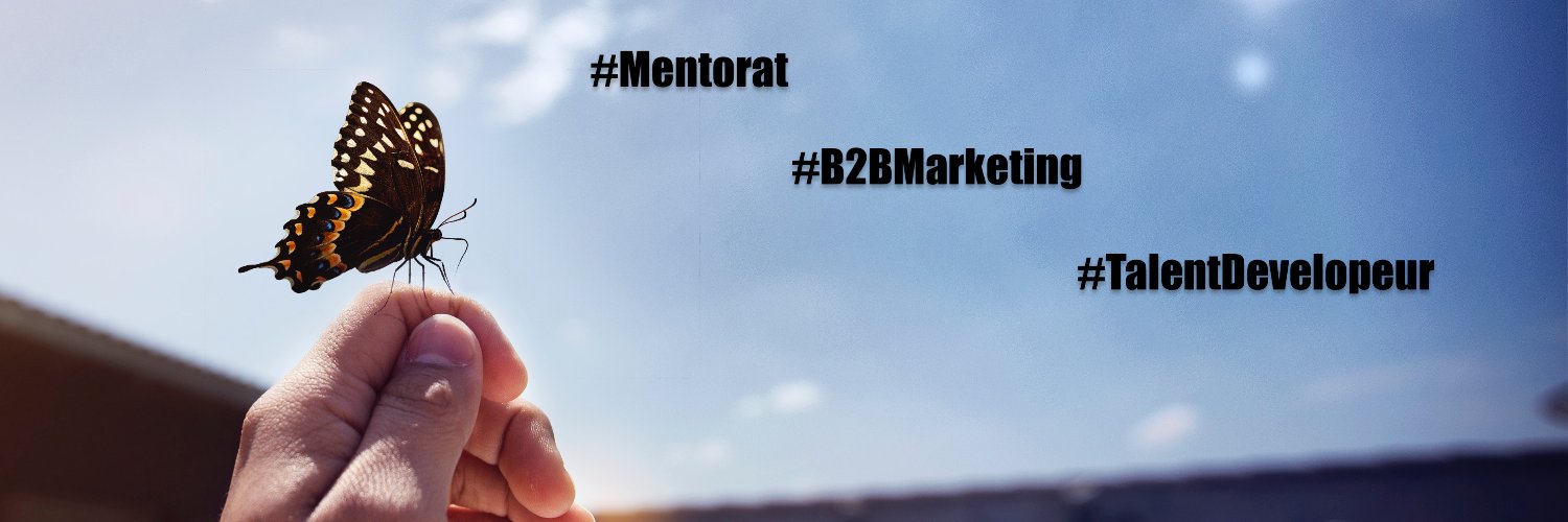 Nicolas Desachy banner