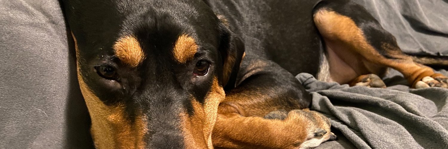 Amy_Rubino's profile banner image