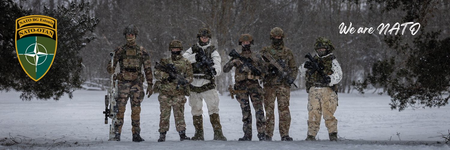 French Forces in Estonia's banner