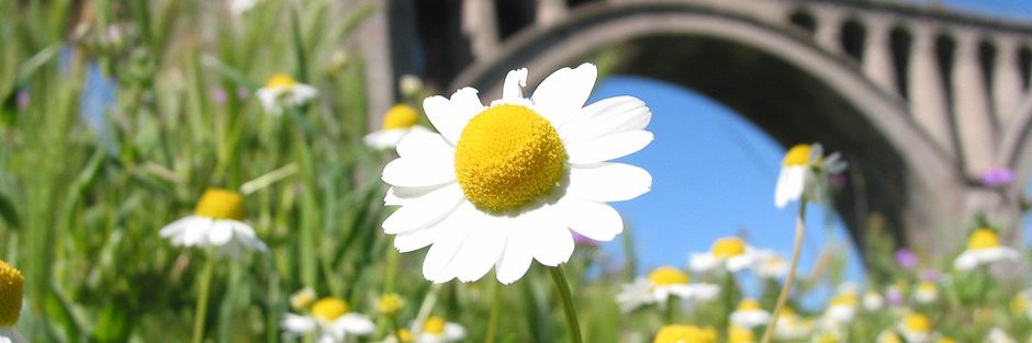 ceheginet's profile banner image
