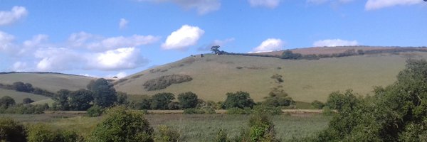 Violet31794705 Profile Banner