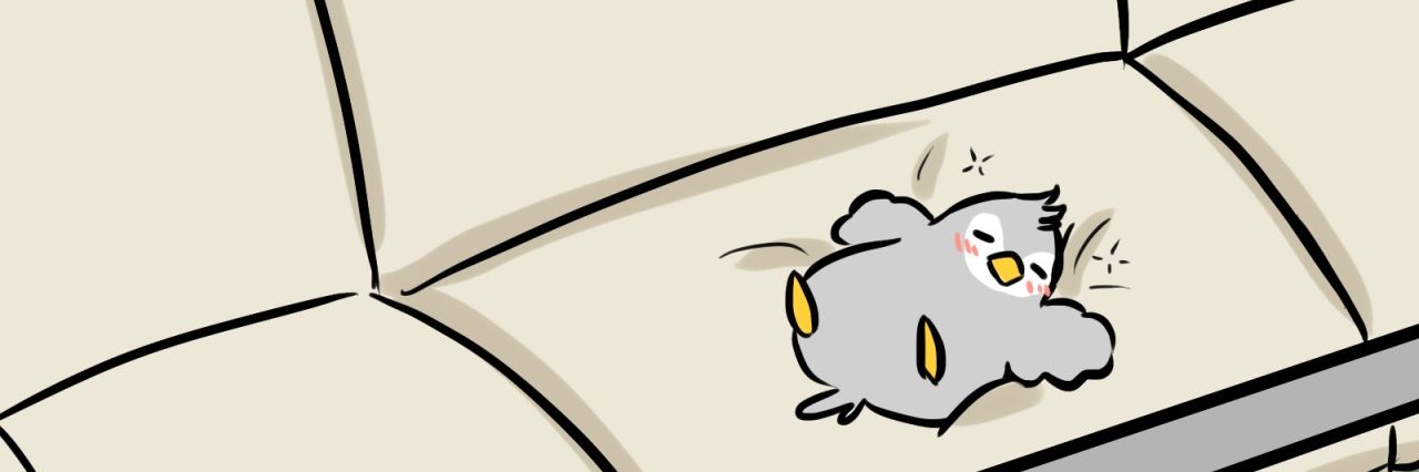 🐧🦝 washing-bear 🦝🐧 banner