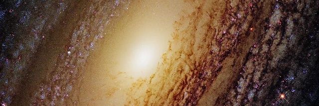 rfbarb's profile banner image