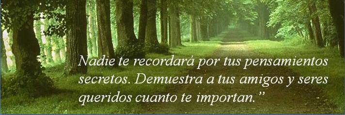 Fidel Antonio banner