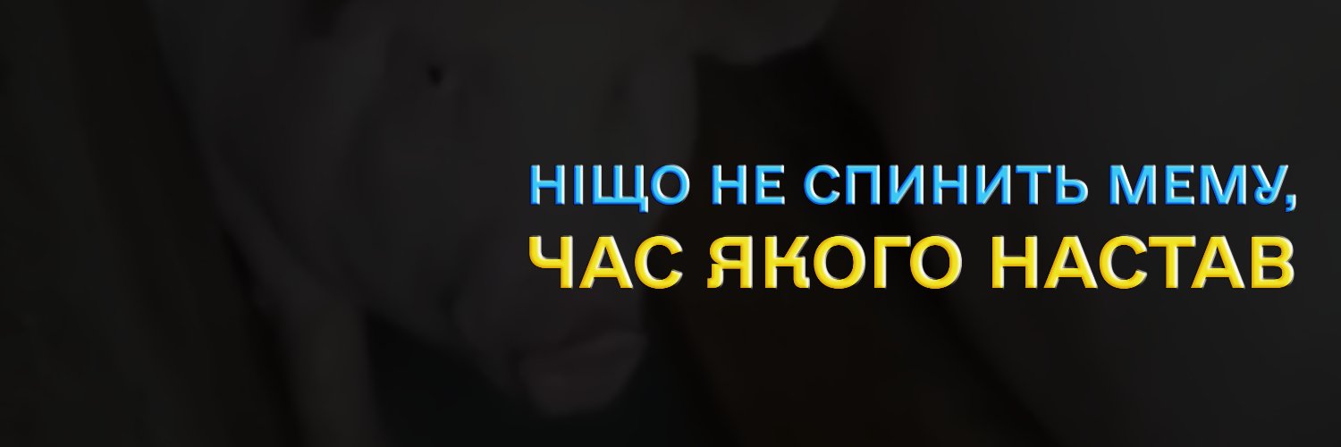 Державне Бюро Мемів's banner