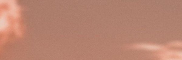 CALL911NOWJEFF Profile Banner