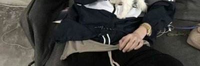 abrahame linckone banner