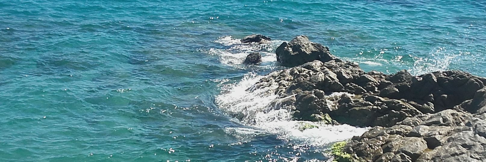 mestra d'escola banner