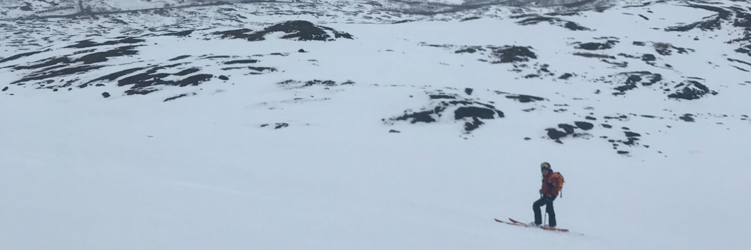 PeterAlvarsson's profile banner image
