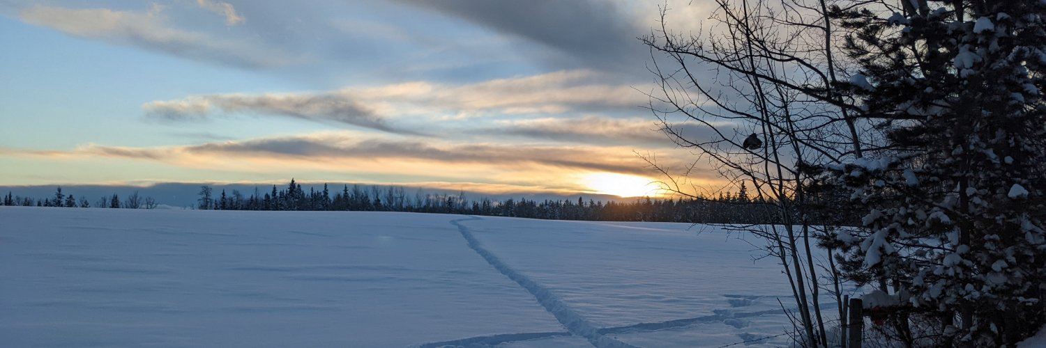 viguy's profile banner image
