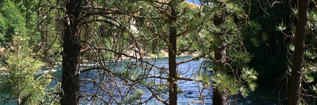 Eileen Bulger banner