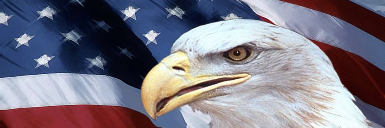 CockneyRedneck's profile banner image
