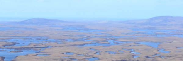 jimwhiting_sci Profile Banner