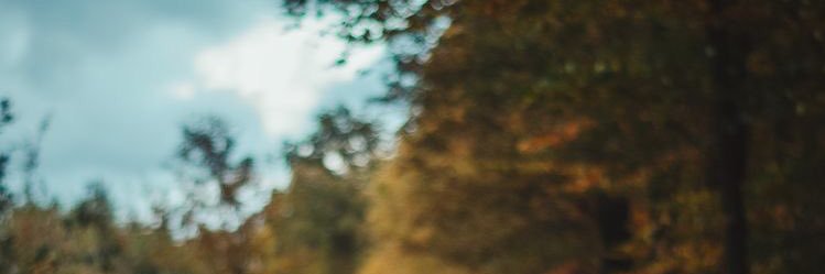 parisaaslani's profile banner image