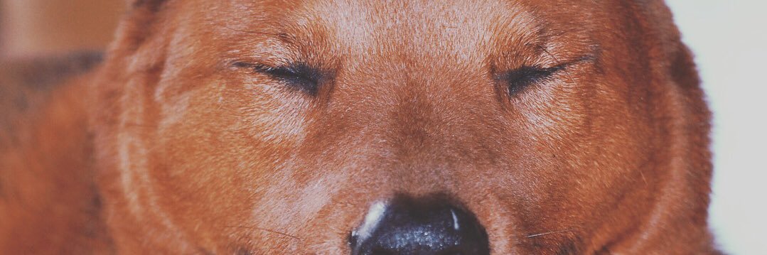 maddyykoepke's profile banner image