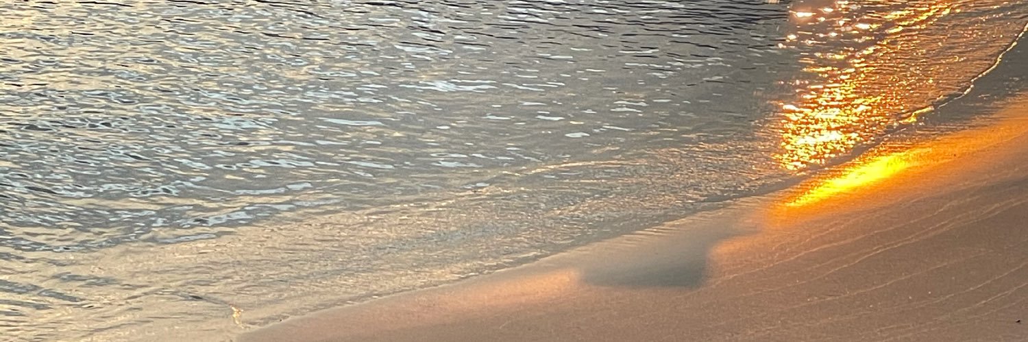 pforpaiw's profile banner image