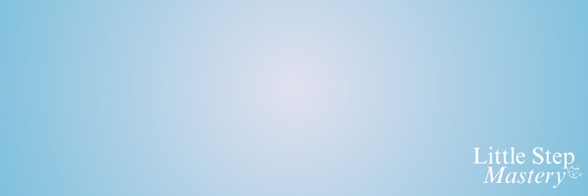 littlestepmastery banner