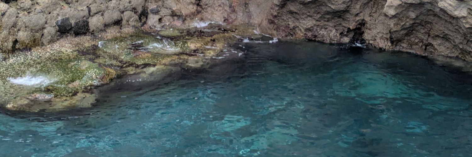 Floidertroller banner