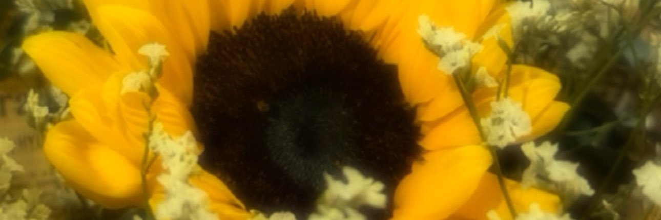 RB_N banner